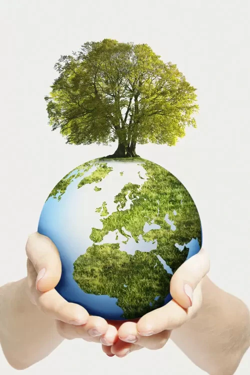 Coco Pith Green Earth