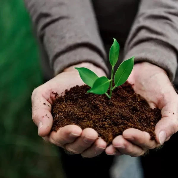 Environmental Plant Sustainability