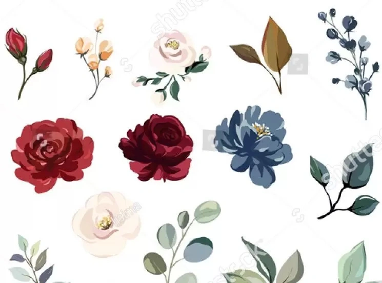 Alam Cocos Plants&flowers