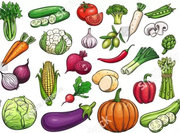 Alam Cocos Vegetables