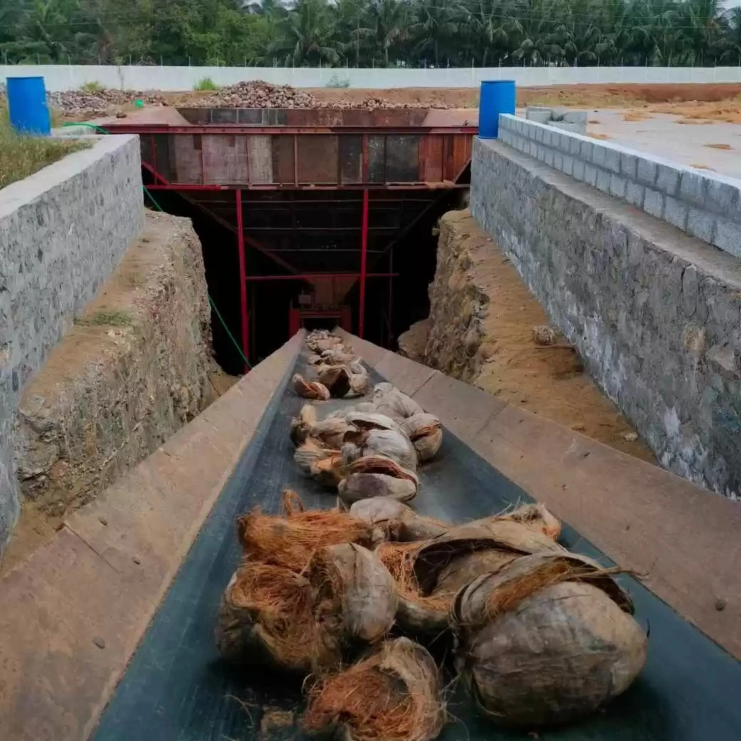 Husks In Bunker Conveyor