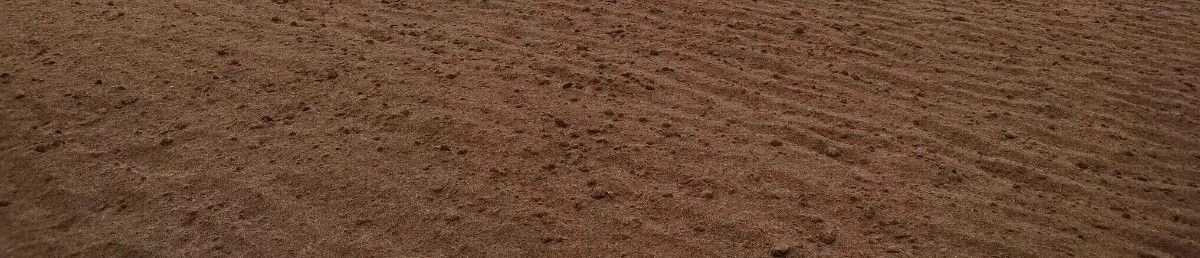 Coco Pith Unprocessed