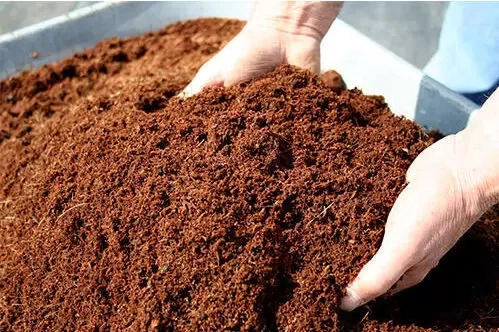 Coco Peat