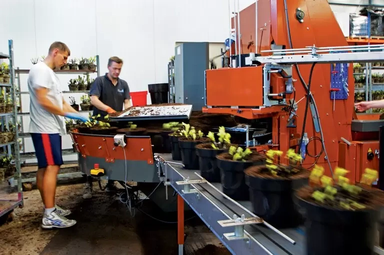 Coco Pith Potting Soil Producer