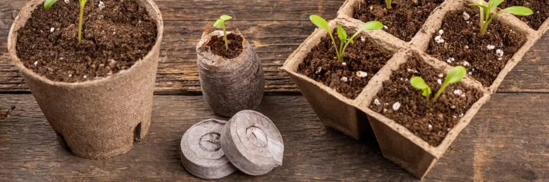 Potting Soil Producers